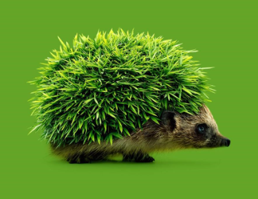 image.png.bdebafefdb00fa85b34b160c4af3793f.png