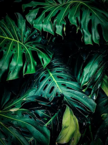 image.thumb.png.aec0ad2fecde05350c90ff2af599386b.png