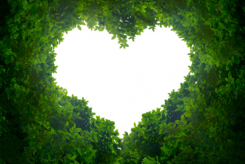 image.thumb.png.bb8db951d2964d770d741ebc82999088.png