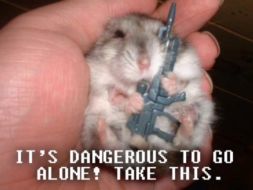 image.thumb.png.cfbbcdfdf152e6de2606cdbcbc084e0a.png