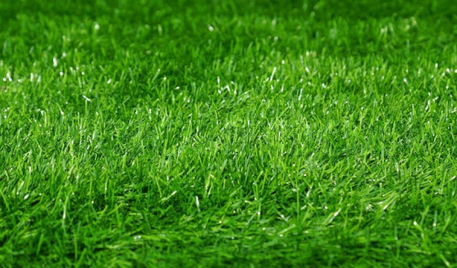 image.thumb.png.f01091dfb9ade21ec797ec28f0776045.png