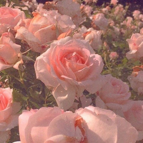 image.thumb.png.ffbcdf5ecb10bd2d691bb86e1e2a882c.png