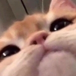 Alexgrang