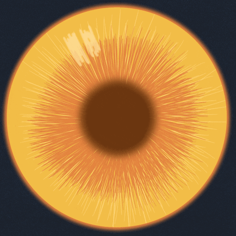 1909918635_giphy(8).gif.1e12682c00d8cae19ec6485dcb1e4ae2.gif