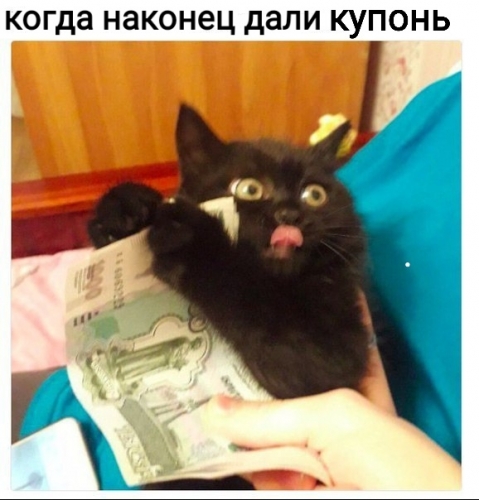 20230228_134105.jpg