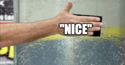 2EAA083C-183B-4B59-91A9-2BB1E32AF7D1.jpeg