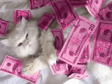 98DF029D-BD9E-4078-959B-965618ED4E80.gif.1d1df67ee3f8a1cb38d3c92f9dc8cef9.gif