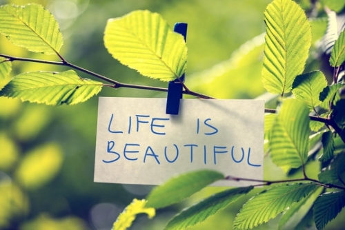Life_Is_Beautiful.jpg