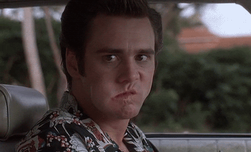 aceventura.gif.db9276fba540434107699c68e01fc6d8.gif