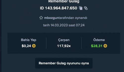 burakcasino143964847650.png