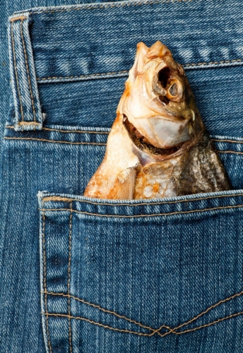 fish-pocket-15174915.jpg