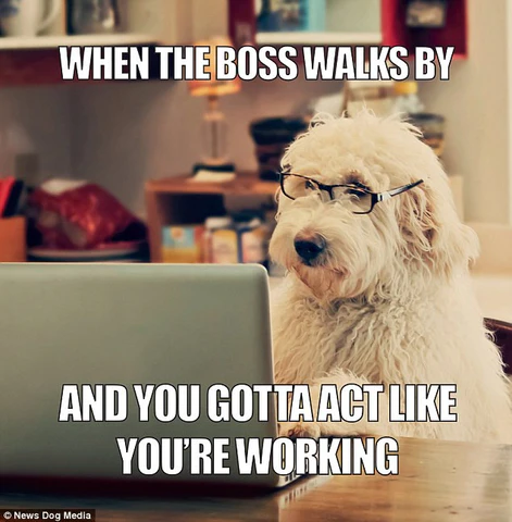 image.png.2524d05c323b2e7dd12e3e10d4f1fb07.png
