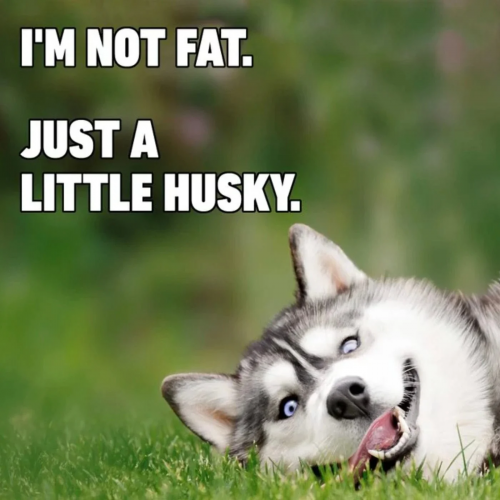 image.thumb.png.3ab9751c3c55de85d2f0cdf3efea9851.png