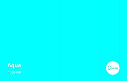 image.thumb.png.578536a5b25000d39fc0c271189d6cd6.png