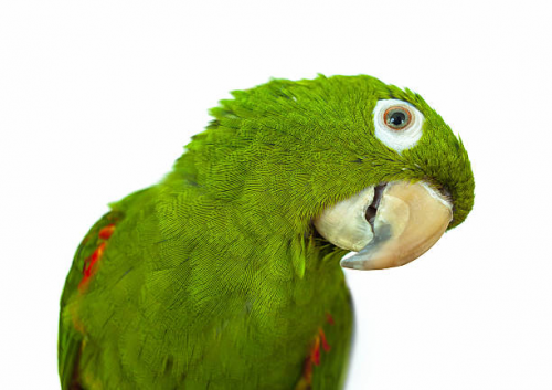 image.thumb.png.833ccebdc62c35eecb001ea1d2dfca47.png