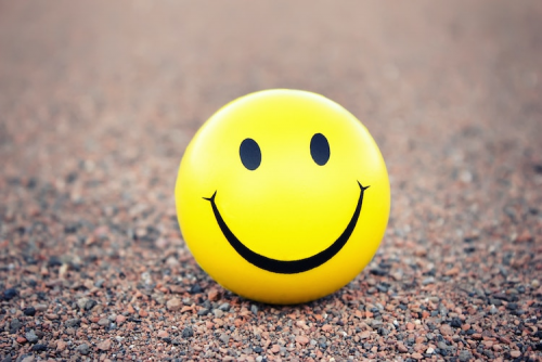 image.thumb.png.89416cb9cf6e8c8a8364b1cf6e11b68e.png