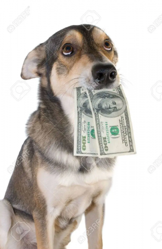 image.thumb.png.bb9a56cc7e76f695bda9a0f2bd2edb86.png