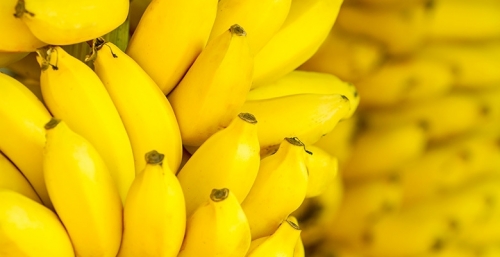 yellow-780x400.thumb.jpg.b70e2e74886f2698f7a146243a86209f.jpg