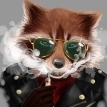 Maxperli