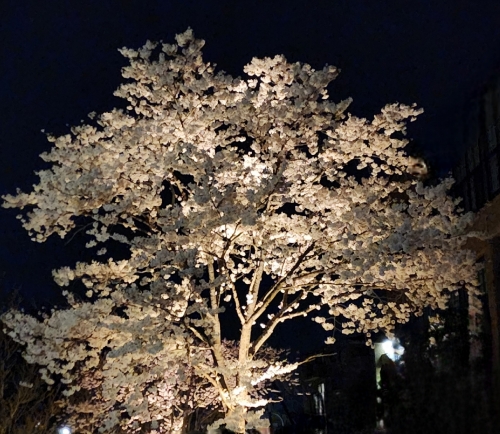 20230331_214742.jpg