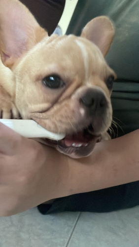 8F8331DC-5717-4093-8B7D-13AC97A0BDDA.jpeg
