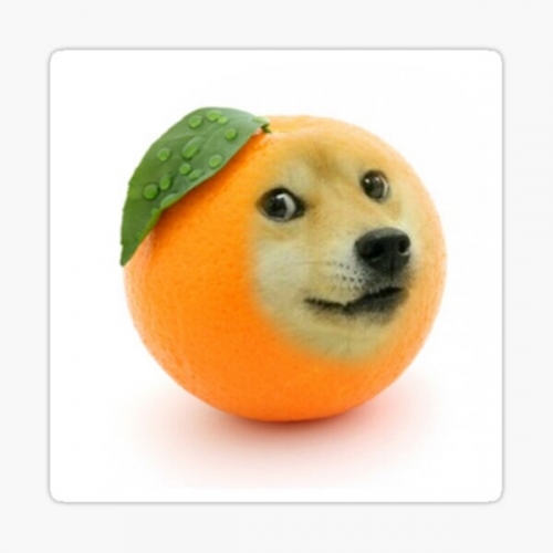 st,small,507x507-pad,600x600,f8f8f8.jpg