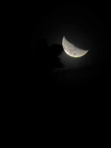 A6C8262A-9B9C-4258-B358-A98D88A4F4A5.jpeg