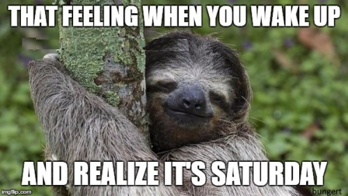 Slothurday.jpg