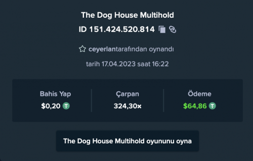 casino151424520814erkansvekingat.png