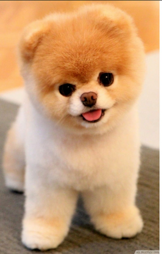 image.thumb.png.1da6b22e401ca65cee6d8bf1b2ca0388.png