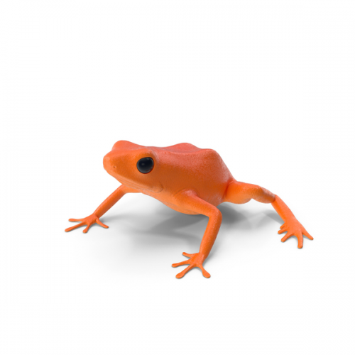 image.thumb.png.3555d6714f5bd2478444d275d9fe140a.png