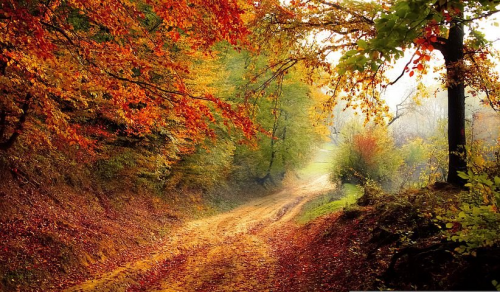 image.thumb.png.bc9ba57ffcefd93db539398e0d9928d1.png