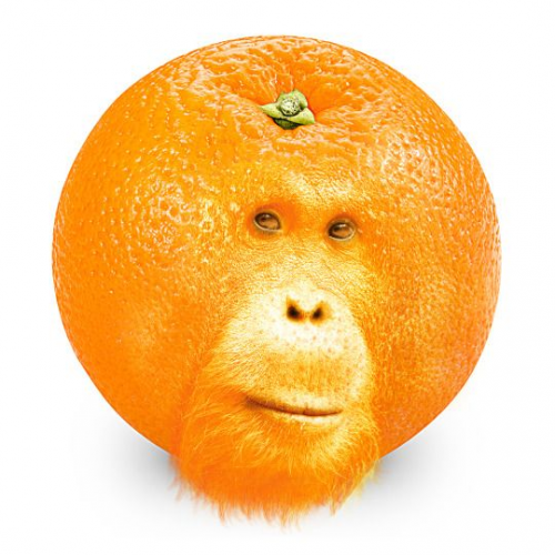 image.thumb.png.fdfa3b550a8a1669c590081753e195cb.png