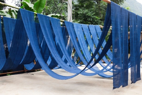 indigo-la-gi-4.jpg