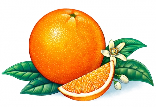 orange.jpg