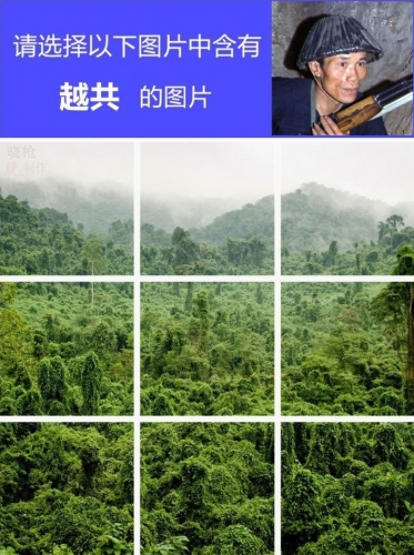 1682448020.jpg