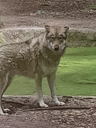 20230218_110919.jpg