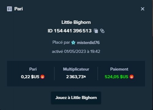 little big horn.JPG