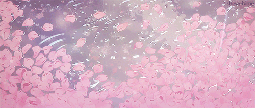 5c923036a82fa8dbdb6d69afb4732dee.gif.2677f146a0e4cf52a8d8247e155d21e0.gif