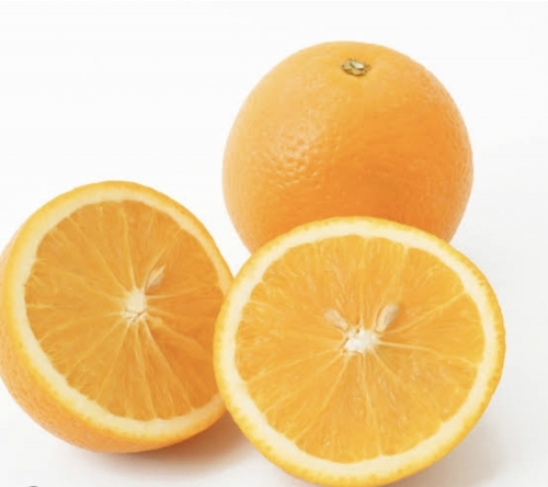 A6832E71-CDE8-4E4C-9668-AEDD92BCA7F1.jpeg