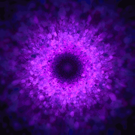 A7CA.gif.f8575bfb359067ee521cbaa60afa4a34.gif