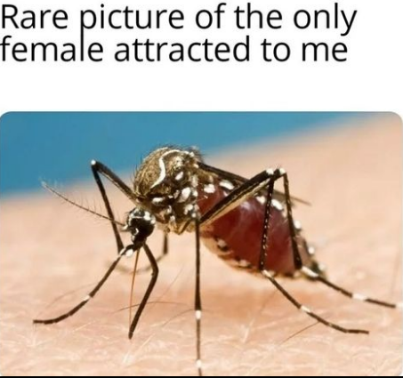 Capturar.PNG.4310058d487f2fcb899a5b5f4f0218ad.PNG