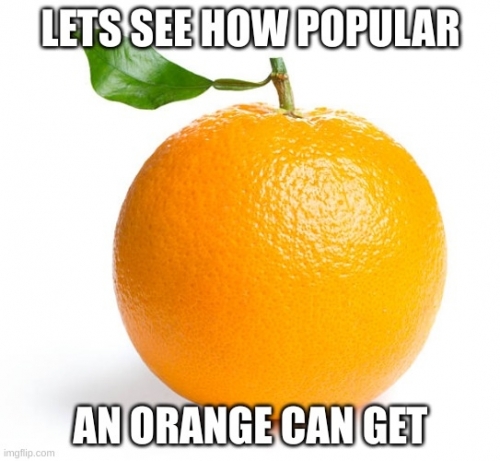 IMG_4154.jpeg