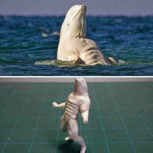 image-NMCTn1ZbKLs4ZYb8.jpg