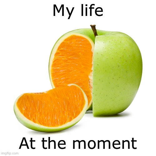 image.png.5e2d8bb86fee031cbf3ad4cb674e9b99.png