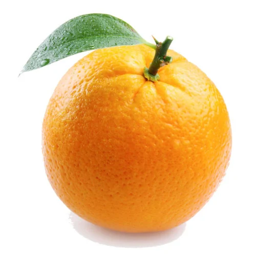 image.png.b87f85a0775660d3a025bcb93466024b.png