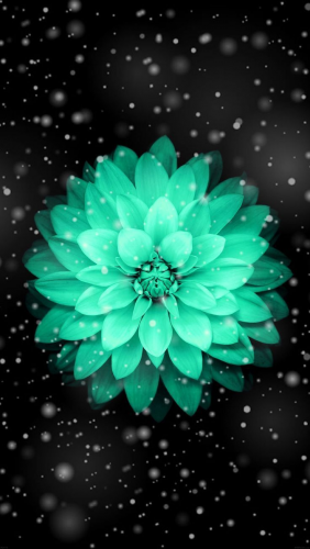 image.thumb.png.0828d6f58daf5e60bbd67aafbcae1634.png