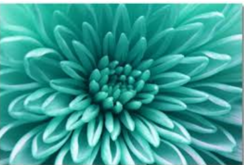 image.thumb.png.173a1e55f7fc62128d4f54036fcbb29d.png