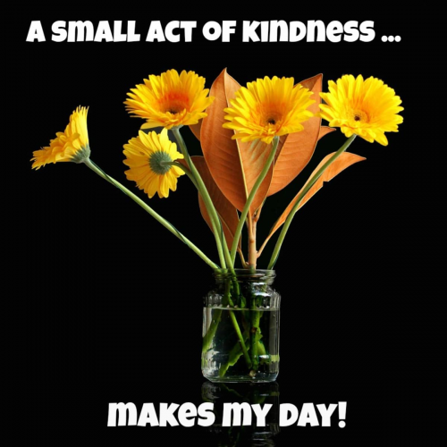 image.thumb.png.2b8784d3c870d60b9f623828ade22bff.png