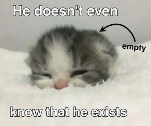 image.thumb.png.7a03f93c604214a4782eead262d10489.png